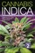 Cannabis Indica, Volume 2