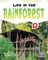 Life in the Rainforest
