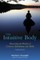 The Intuitive Body