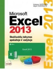 Microsoft Excel 2013