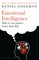 Emotional Intelligence