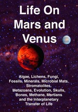 Life on Mars and Venus