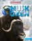 Musk Oxen