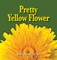 Pretty Yellow Flower