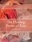 The Healing Power of Fear