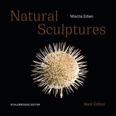 Mischa Erben - Natural Sculptures