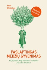 Paslaptingas medžių gyvenimas: ką jie jaučia, kaip bendrauja, – neregimo pasaulio atradimai