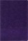 Amplified Holy Bible, Large Print, Leathersoft, Purple