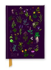 Anna Stead: For Spells & Potions (Foiled Journal)