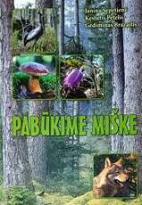 Pabūkime miške