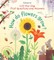 First Questions and Answers: How Do Flowers Grow?