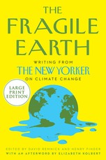 The Fragile Earth
