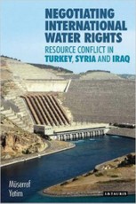Negotiating International Water Rights