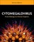 Cytomegalovirus