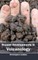 Recent Developments in Volcanology