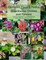 Big Kids Coloring Book