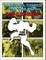 Marvel Comics in the 1970s Expanded Edition