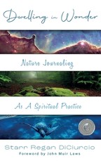 Dwelling in Wonder