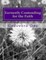 Earnestly Contending for the Faith