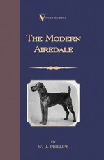 The Modern Airedale Terrier