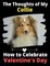 The Thoughts of My Collie