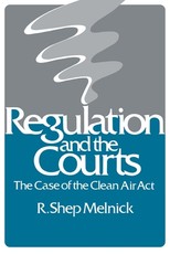Regulation and the Courts