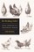 Kolodny, N: Pecking Order