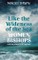 Like the Wideness of the Sea