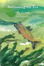 Swimming the Eel