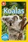 Koalas