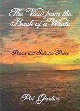 The View from the Back of a Whale