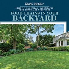 Food Chains in Your Backyard
