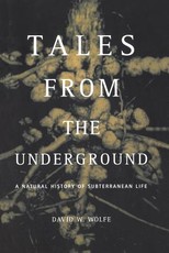 Tales from the Underground