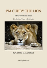 I'm Cubby the Lion