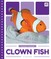 Clown Fish