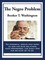 The Negro Problem