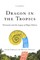 Dragon in the Tropics