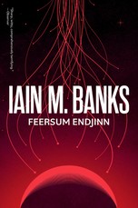 Feersum Endjinn