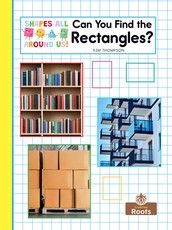Can You Find the Rectangles?