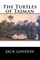 The Turtles of Tasman