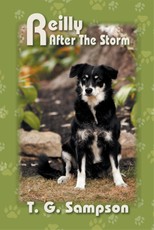 Reilly After The Storm