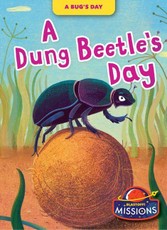 A Dung Beetle's Day