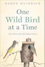 One Wild Bird at a Time