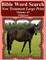 Bible Word Search New Testament Large Print Volume 41