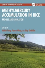 Methylmercury Accumulation in Rice