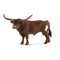 SCHLEICH FARM WORLD Ilgaragis teksaso bulius