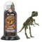 Konstruktorius dinozauro skeletas „Tyrannosaurus“