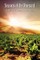Seasons of the Vineyard