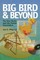 Big Bird and Beyond