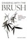 Drawing with the Brush